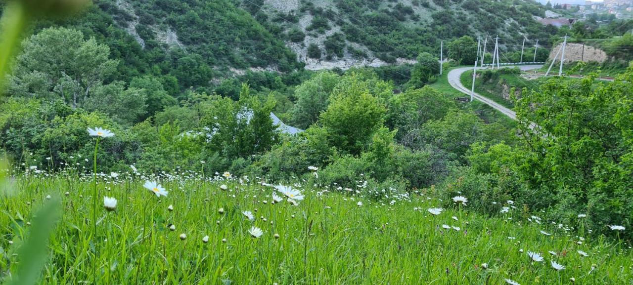 "Budur" Guest House Gandzakar Экстерьер фото