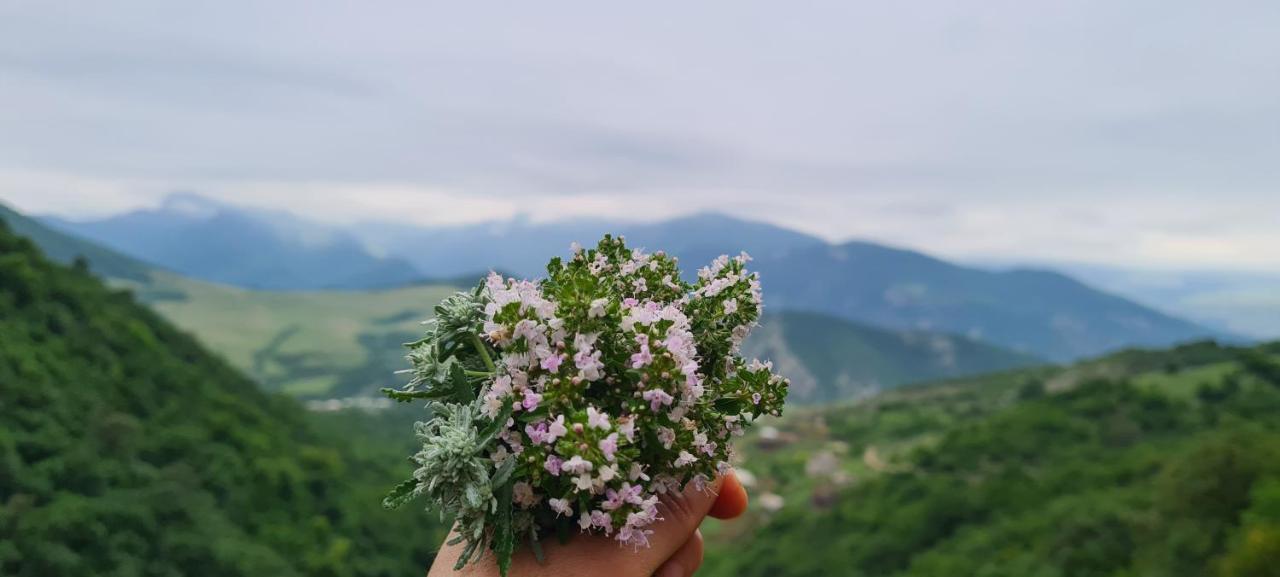 "Budur" Guest House Gandzakar Экстерьер фото